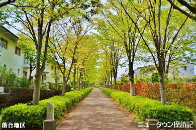 多摩センター・唐木田 (18).jpg