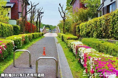 多摩センター・唐木田 (20).jpg