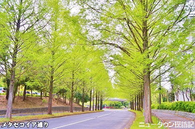 多摩センター・唐木田 (24).jpg