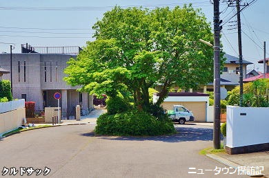 たまプラーザ (10).jpg