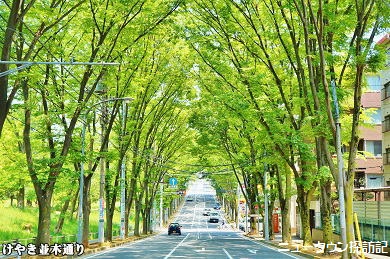 たまプラーザ (3).jpg
