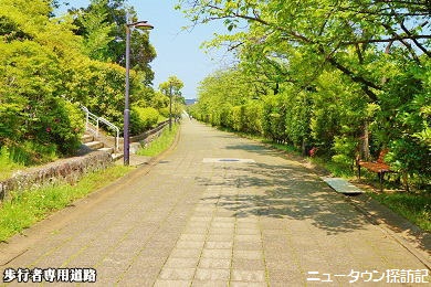 たまプラーザ (4).jpg