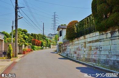 たまプラーザ (7).jpg