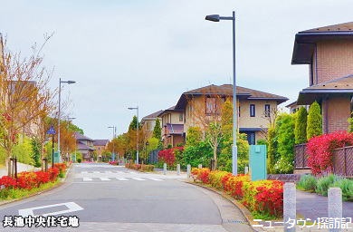 ライブ長池 (18).jpg