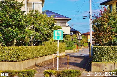 成田ニュータウン (10).jpg