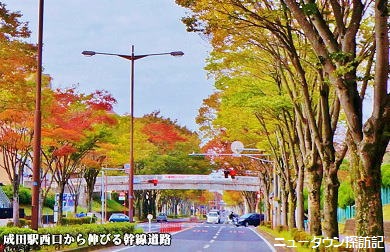 成田ニュータウン (11).jpg