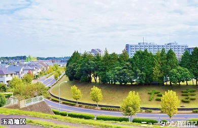 成田ニュータウン (2).jpg
