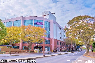 成田ニュータウン (5).jpg