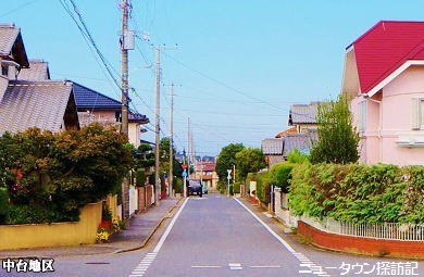 成田ニュータウン (7).jpg