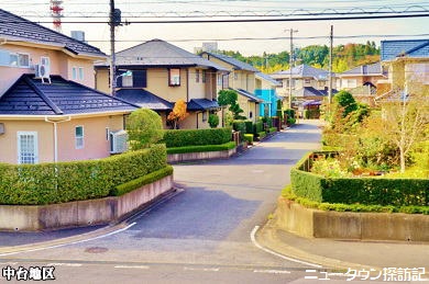 成田ニュータウン (8).jpg