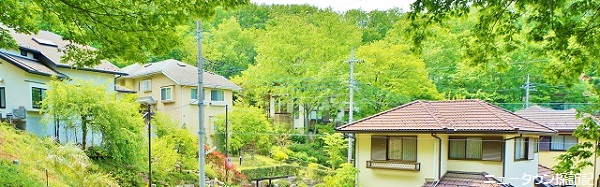 松が丘 (1).jpg
