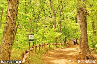 松が丘 (13).jpg