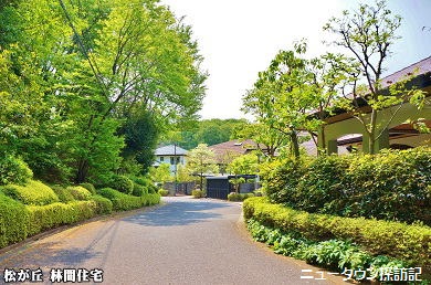 松が丘 (14).jpg