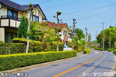 松が丘 (15).jpg