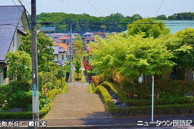 松が丘 (17).jpg