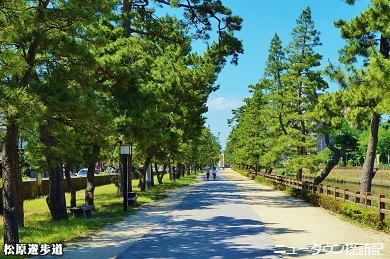 松原団地 (12).jpg