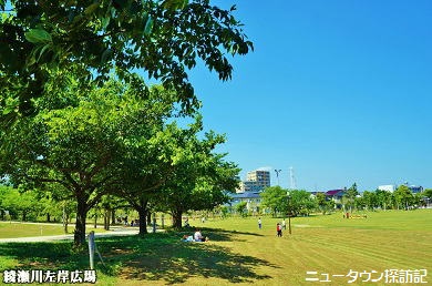 松原団地 (13).jpg
