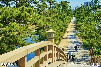 松原団地 (3).jpg