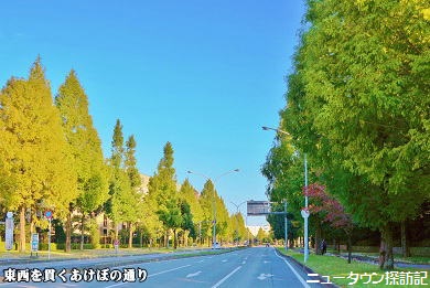 asumigaoka (11).jpg