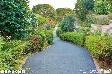 asumigaoka (12).jpg