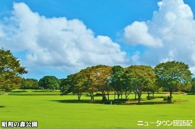 asumigaoka (3).jpg