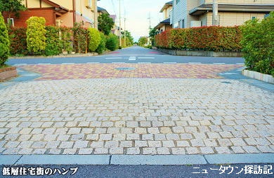 kiyomino (10).jpg