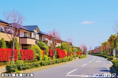 kiyomino (14).jpg