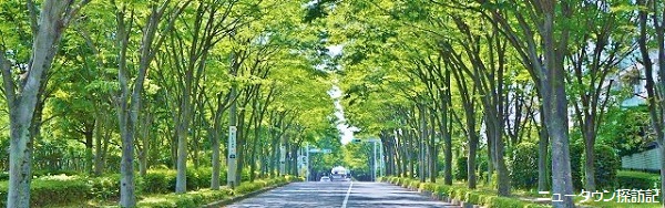 miwamidoriyama (1).jpg