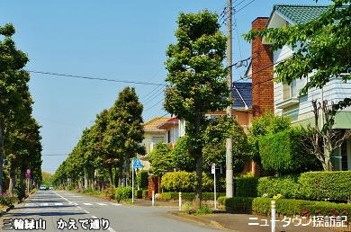 miwamidoriyama (2).jpg